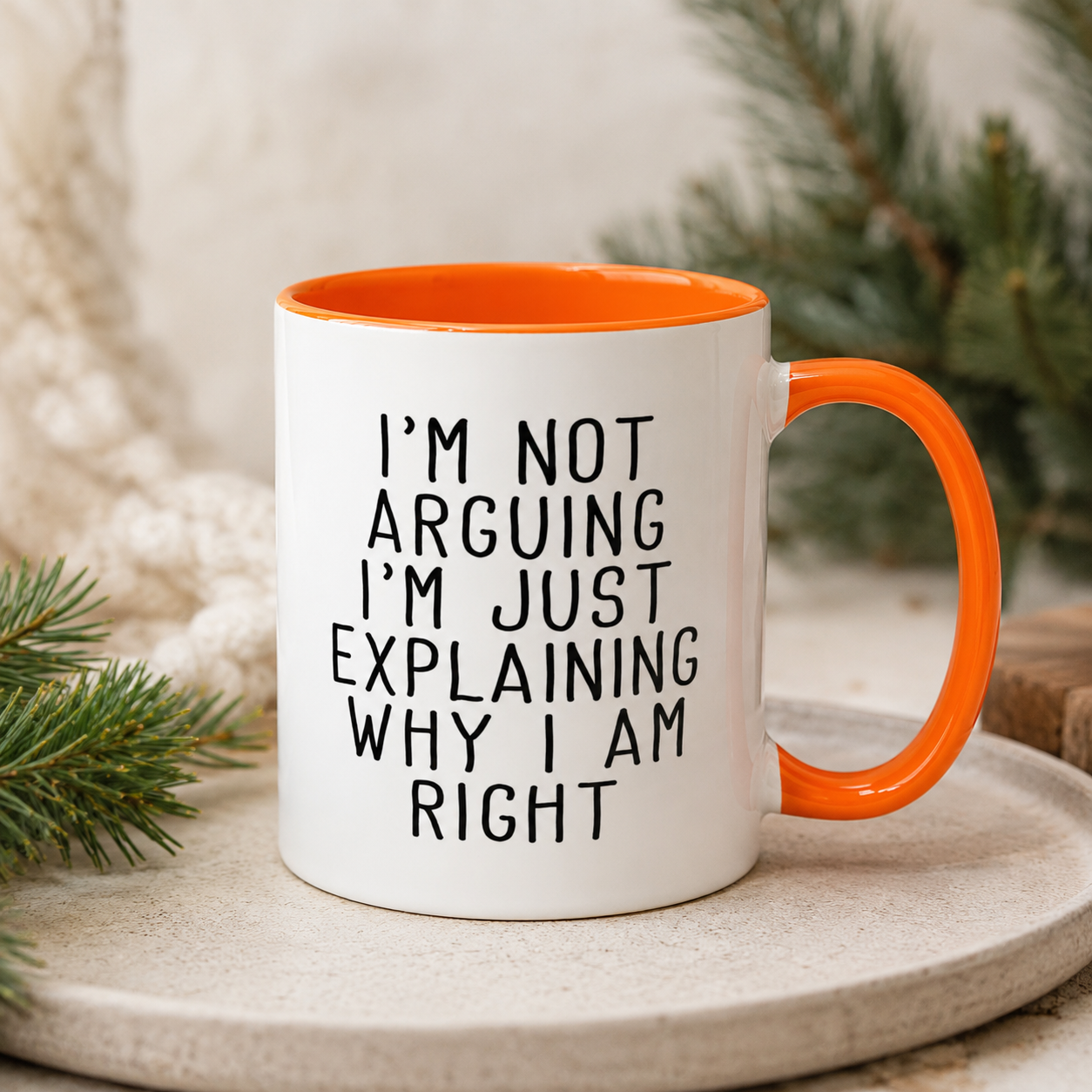 I’m Not Arguing Mug, Funny Sarcastic Coffee Cup