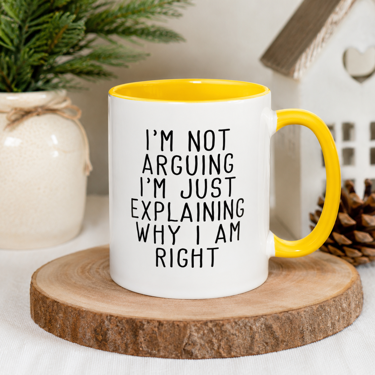 I’m Not Arguing Mug, Funny Sarcastic Coffee Cup
